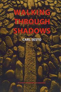 Walking Through Shadows: El Camino de Santiago de Compostela
