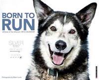 Born to Run: Athletes of the Iditarod