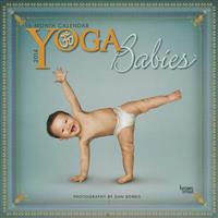 Yoga Babies 2014 Wall Calendar