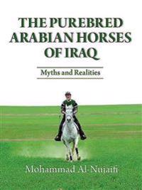 Purebred Arabian Horses of Iraq