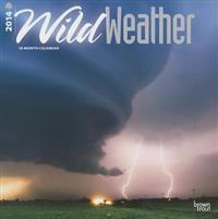 Wild Weather 2014 Wall Calendar