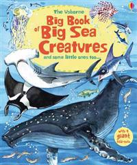 Big Book of Big Sea Creatures