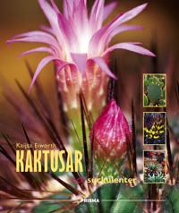 A People's History of Christianity: The Other Side of the Story