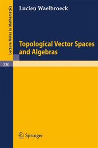 Topological Vector Spaces and Algebras