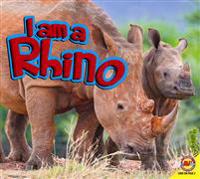 Mirrors of Destruction