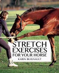 Stretch Exercises for Your Horse: The Path to Perfect Suppleness