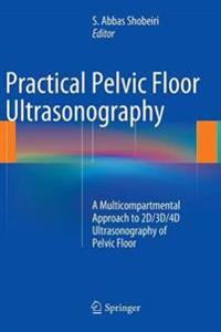 Practical Pelvic Floor Ultrasonography