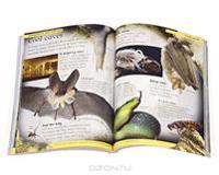 First Children's Encyclopedia