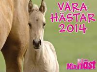 Våra hästar 2014 : Min Häst