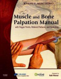 The Muscle and Bone Palpation Manual with Trigger Points, Referral Patterns and Stretching [With Flashcards-Palpation/Trigger Points/Referral... and 2
