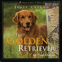 The Golden Retriever: All That Glitters