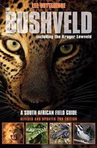 The Bushveld