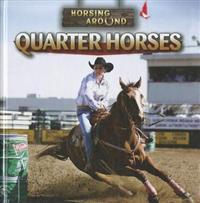 Quarter Horses
