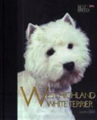 Westie