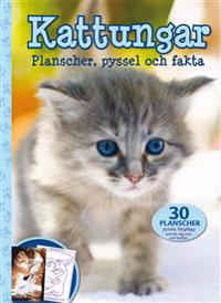 Kattungar : Planscher, pyssel och fakta