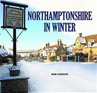 Staging International Feminisms