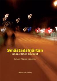 Småstadshjärtan : unga röster om livet