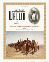 Al-Majani: English-ArabicArabic-English Pocket Dictionary