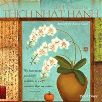 The Politics of the Piazza