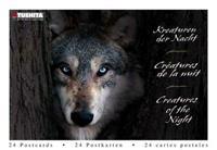 CREATURES OF THE NIGHT