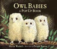 Owl babies - pop-up