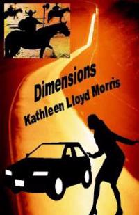 Rock carvings in Østfold and Bohuslän, South Scandinavia; an interpretation of political and economic landscapes