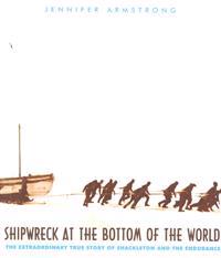 Shipwreck at the Bottom of the World