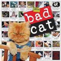 Bad Cat Wall Calendar 2014