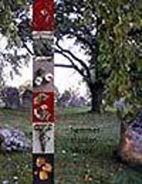 Hemmet - trakten - världen : arkeologi i Östergötland