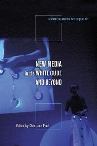 New Media in the White Cube and Beyond