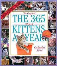 365 Days of Kittens-A-Year Calendar 2014
