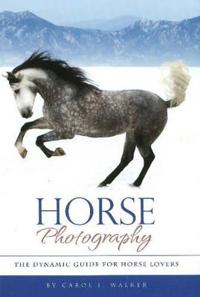 Horse Photography
