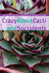 Crazy about Cacti and Succulents:
