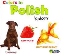 Colors in Polish: Kolory