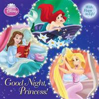 Good Night, Princess!