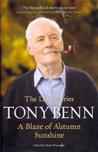 A Blaze of Autumn Sunshine