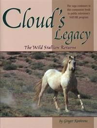 Cloud's Legacy