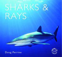 SHARKS & RAYS