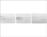 Robert Adams - Light Balances / on Any Given Day in Spring