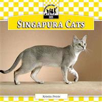 Singapura Cats