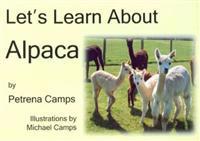 Let's Learn About Alpaca
