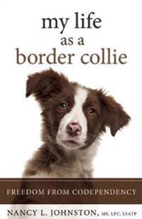 My Life as a Border Collie