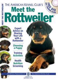 Meet the Rottweiler