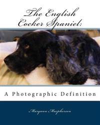 English Cocker Spaniel: A Photographic Definition