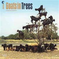 Goats in Trees 2014 Wall Calendar