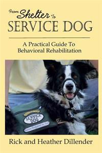 From Shelter to Service Dog: A Practical Guide to Behavioral Rehabilitation