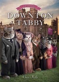 Downtown Tabby