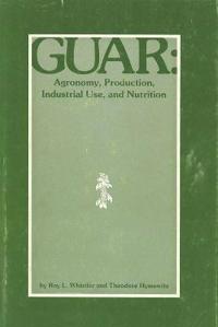 Finding Eagle: A Journey Into Modern-Day Shamanism