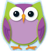 Colorful Owl Notepad