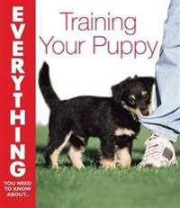 Training Your Puppy